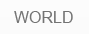 world hotel search